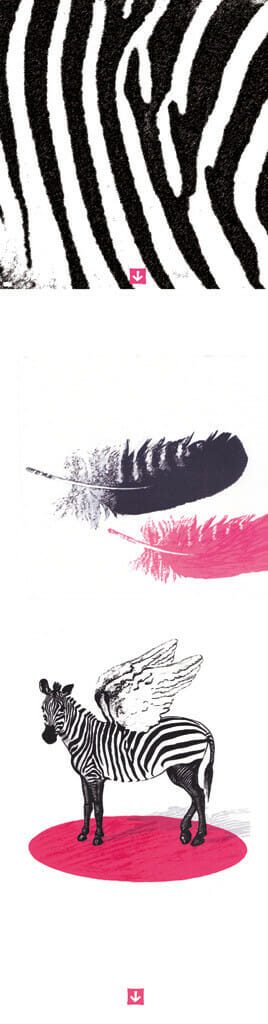 Plume de Zèbre, © Christine Cabirol
