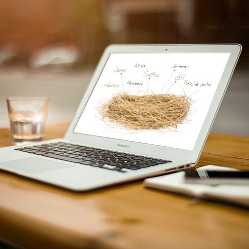 Portable affichant le nid WordPress de 100son.net.