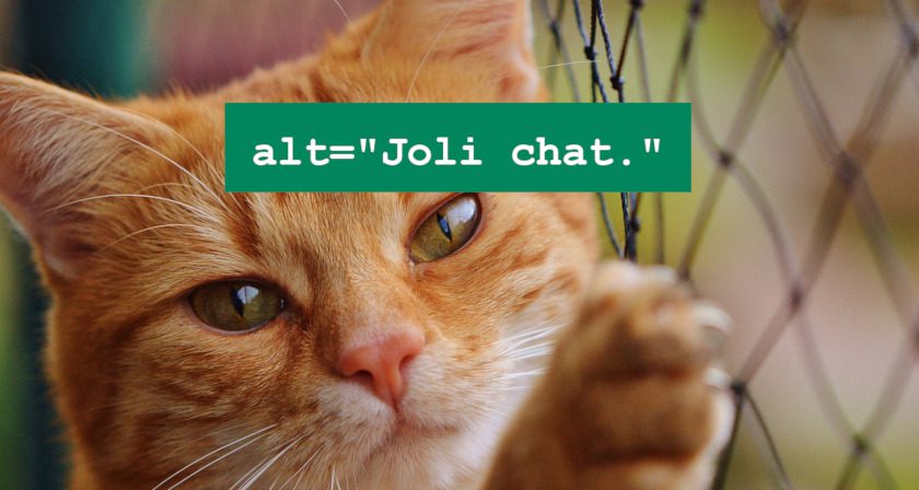 Texte alternatif (attribut alt) : le guide ultime