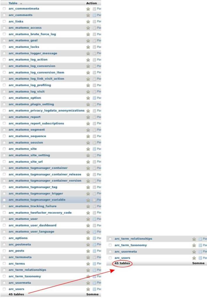 Base Donnees WordPress Plus Matomo 45