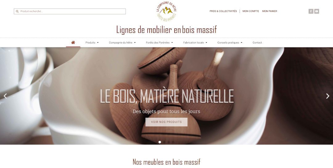 vue site lcdh 1080x544